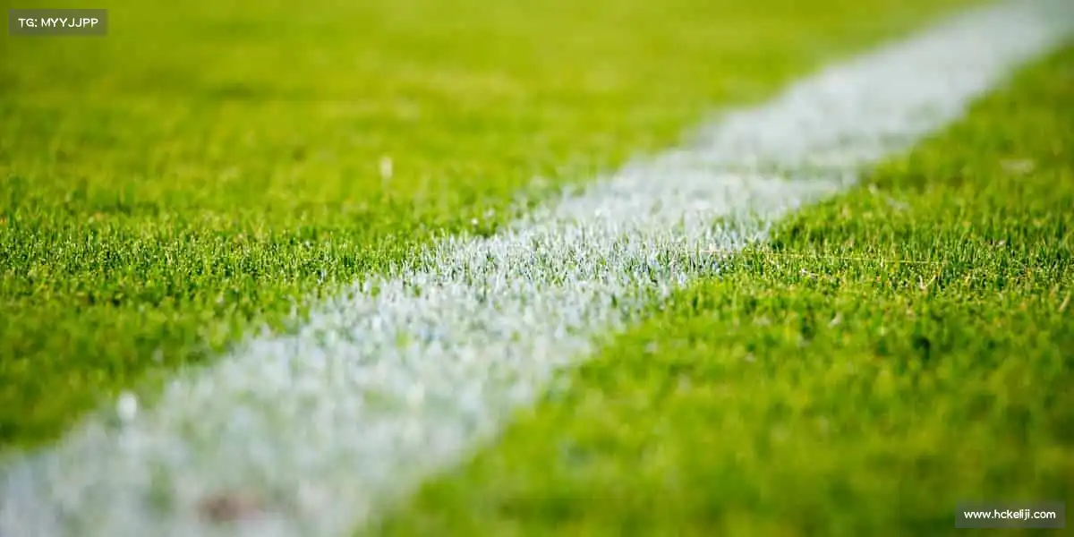 世界杯官网🏃‍♂️运动点燃激情，每一步都是超越自我的证明！